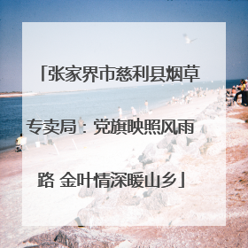 张家界市慈利县烟草专卖局：党旗映照风雨路 金叶情深暖山乡