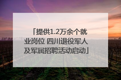 提供1.2万余个就业岗位 四川退役军人及军属招聘活动启动