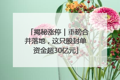 揭秘涨停｜重磅合并落地，这只股封单资金超30亿元