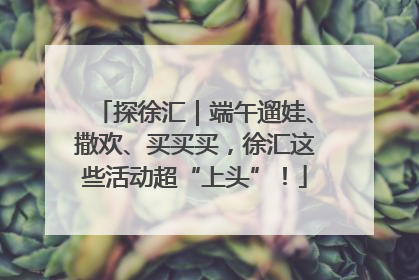 探徐汇｜端午遛娃、撒欢、买买买，徐汇这些活动超“上头”！