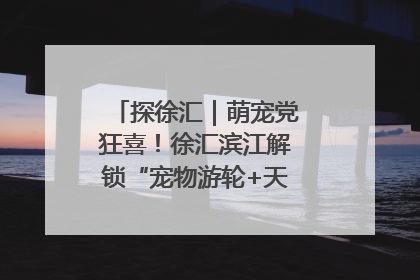 探徐汇｜萌宠党狂喜！徐汇滨江解锁“宠物游轮+天台乐园”双玩法