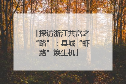 探访浙江共富之“路”：县城“虾路”焕生机