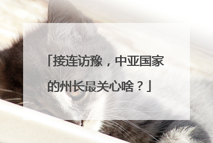 接连访豫，中亚国家的州长最关心啥？