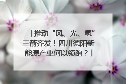 推动“风、光、氢”三箭齐发！四川德阳新能源产业何以领跑？
