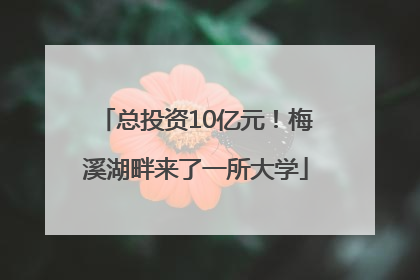 总投资10亿元！梅溪湖畔来了一所大学
