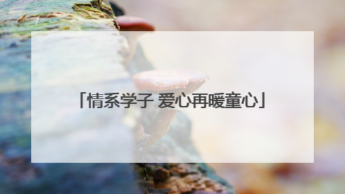 情系学子 爱心再暖童心