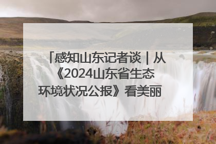 感知山东记者谈｜从《2024山东省生态环境状况公报》看美丽山东建设的“成绩单”与“任务书”