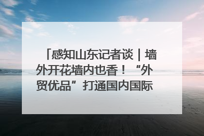 感知山东记者谈｜墙外开花墙内也香！“外贸优品”打通国内国际市场“旋转门”