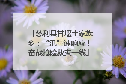 慈利县甘堰土家族乡：“汛”速响应！奋战抢险救灾一线