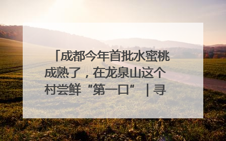 成都今年首批水蜜桃成熟了，在龙泉山这个村尝鲜“第一口”｜寻找和美乡村推荐官