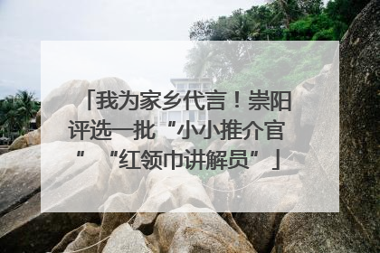 我为家乡代言！崇阳评选一批“小小推介官”“红领巾讲解员”