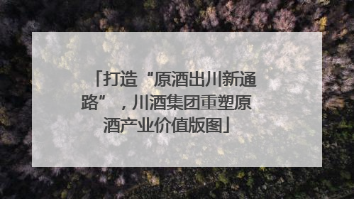 打造“原酒出川新通路”，川酒集团重塑原酒产业价值版图