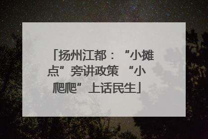 扬州江都：“小摊点”旁讲政策 “小爬爬”上话民生