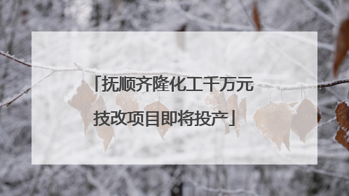 抚顺齐隆化工千万元技改项目即将投产
