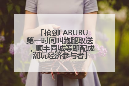 抢到LABUBU第一时间叫跑腿取送，顺丰同城等即配成潮玩经济参与者