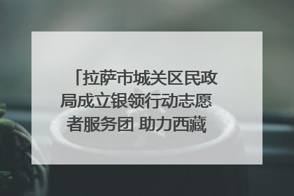 拉萨市城关区民政局成立银领行动志愿者服务团 助力西藏银发经济发展