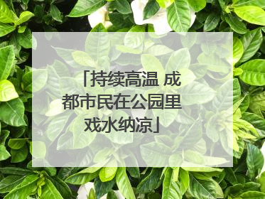 持续高温 成都市民在公园里戏水纳凉