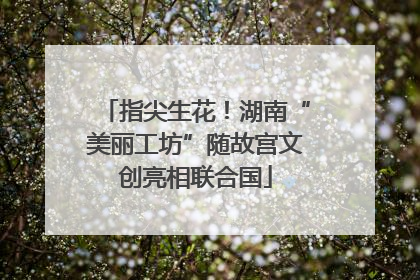 指尖生花！湖南“美丽工坊”随故宫文创亮相联合国