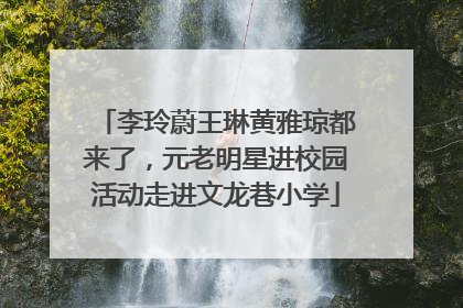 李玲蔚王琳黄雅琼都来了，元老明星进校园活动走进文龙巷小学