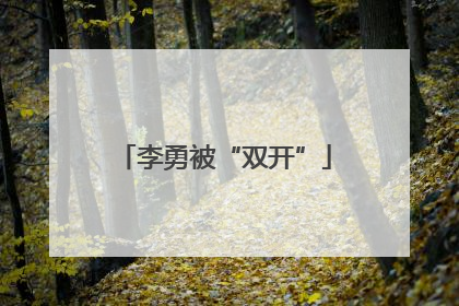 李勇被“双开”