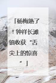 杨梅熟了！钟祥长滩镇收获“舌尖上的惊喜”