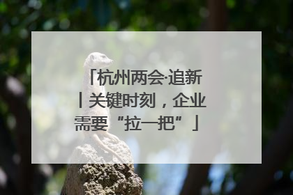 杭州两会·追新丨关键时刻，企业需要“拉一把”
