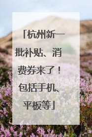 杭州新一批补贴、消费券来了！包括手机、平板等