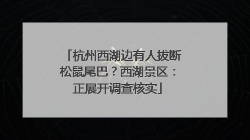 杭州西湖边有人拔断松鼠尾巴？西湖景区：正展开调查核实
