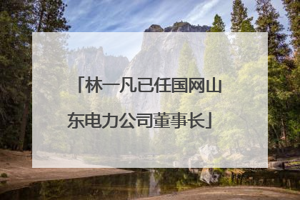 林一凡已任国网山东电力公司董事长