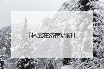 林武在济南调研