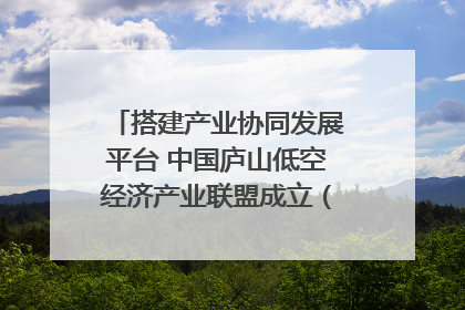 搭建产业协同发展平台 中国庐山低空经济产业联盟成立（组图｜视频）