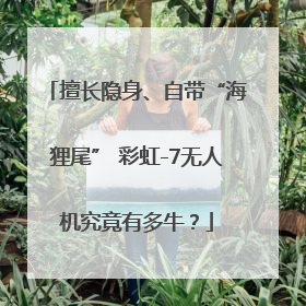 擅长隐身、自带“海狸尾” 彩虹-7无人机究竟有多牛？