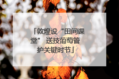 敦煌设“田间课堂” 送技葡萄管护关键时节