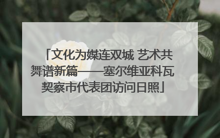 文化为媒连双城 艺术共舞谱新篇——塞尔维亚科瓦契察市代表团访问日照