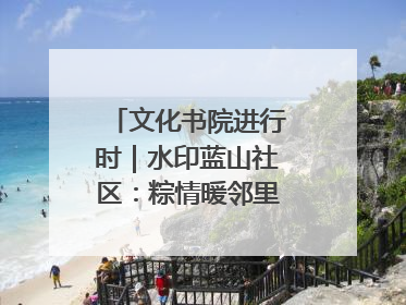 文化书院进行时｜水印蓝山社区：粽情暖邻里，端午共安康
