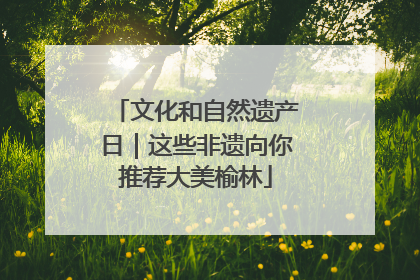 文化和自然遗产日｜这些非遗向你推荐大美榆林