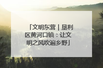 文明东营｜垦利区黄河口镇：让文明之风吹遍乡野