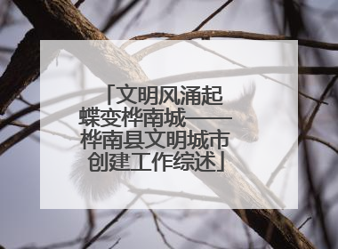 文明风涌起 蝶变桦南城——桦南县文明城市创建工作综述