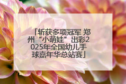 斩获多项冠军 郑州“小萌娃”出彩2025年全国幼儿手球嘉年华总站赛