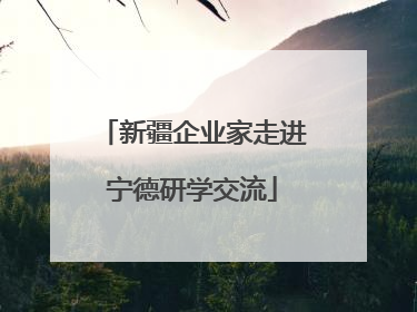 新疆企业家走进宁德研学交流