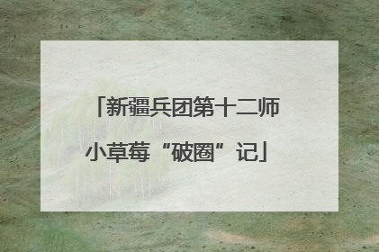 新疆兵团第十二师小草莓“破圈”记