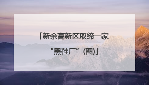 新余高新区取缔一家“黑鞋厂”(图)