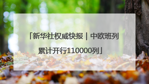 新华社权威快报｜中欧班列累计开行110000列