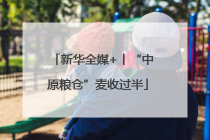 新华全媒+丨“中原粮仓”麦收过半