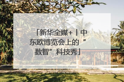 新华全媒+丨中东欧博览会上的“数智”科技秀