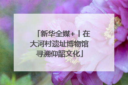 新华全媒+丨在大河村遗址博物馆寻溯仰韶文化