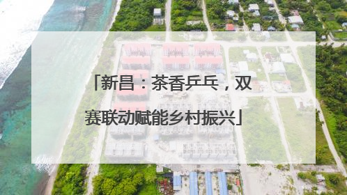 新昌：茶香乒乓，双赛联动赋能乡村振兴