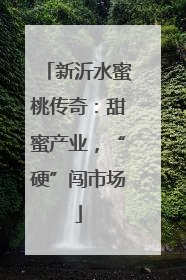 新沂水蜜桃传奇：甜蜜产业，“硬”闯市场
