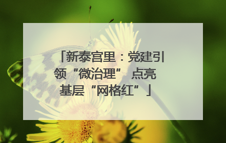 新泰宫里：党建引领“微治理” 点亮基层“网格红”