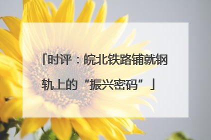 时评：皖北铁路铺就钢轨上的“振兴密码”